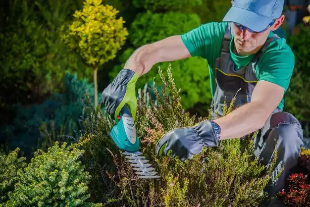 landscaping services Winfield